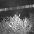 Webcam_20210923-211500