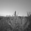 Webcam_20210926-054500