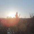 Webcam_20210926-071500