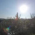 Webcam_20210926-084500