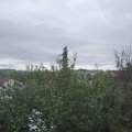 Webcam_20210929-110000