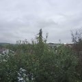 Webcam_20210929-111500