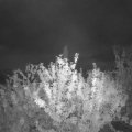 Webcam_20210929-190000