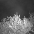 Webcam_20210929-201500