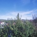 Webcam_20211001-154500