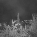 Webcam_20211002-200000