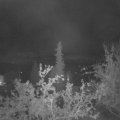 Webcam_20211003-051500