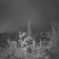 Webcam_20211007-053000