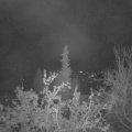 Webcam_20211016-050000