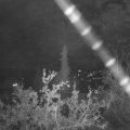 Webcam_20211016-200000