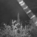 Webcam_20211016-213000