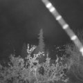 Webcam_20211017-050000