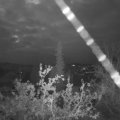 Webcam_20211017-060000