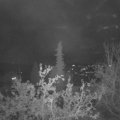 Webcam_20211017-193000