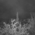 Webcam_20211017-204500