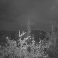 Webcam_20211018-211500