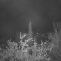 Webcam_20211019-054500