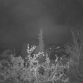 Webcam_20211023-053000