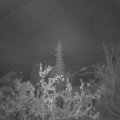 Webcam_20211023-054500