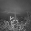 Webcam_20211023-060000