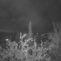 Webcam_20211023-193000