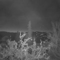 Webcam_20211024-054500