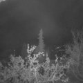 Webcam_20211027-050000