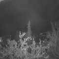 Webcam_20211027-051500