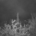 Webcam_20211031-061500