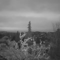 Webcam_20211031-064500