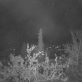 Webcam_20211101-051500
