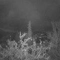Webcam_20211101-063000