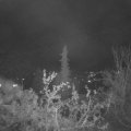Webcam_20211107-214500
