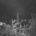 Webcam_20211108-174500