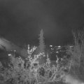 Webcam_20211108-201500