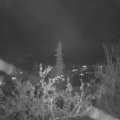 Webcam_20211108-204500