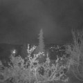 Webcam_20211110-060000