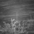 Webcam_20211111-214500