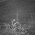 Webcam_20211112-051500