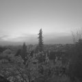 Webcam_20211112-070000