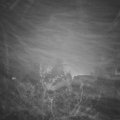 Webcam_20211112-183000
