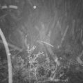 Webcam_20211112-193000
