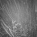 Webcam_20211112-194500