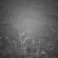Webcam_20211112-201500