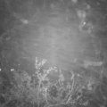 Webcam_20211112-203000