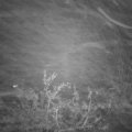 Webcam_20211112-210000