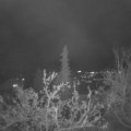 Webcam_20211115-191500