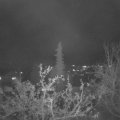 Webcam_20211116-193000
