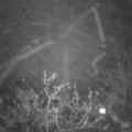 Webcam_20211118-051500