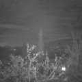 Webcam_20211118-054500